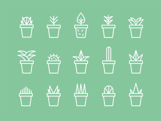 多肉植物图标 Succulent Icon Set