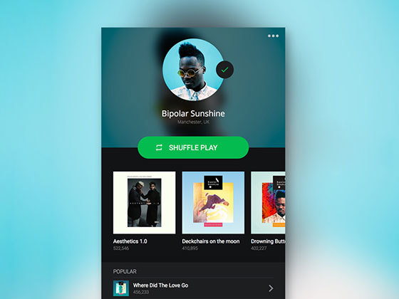 个人资料 Spotify Profile