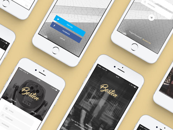 Boston 登录表单集合