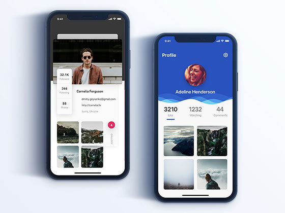 Diamond iPhone X 个人资料界面合集