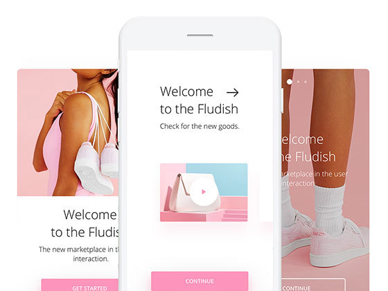 Fludish 时尚应用引导页