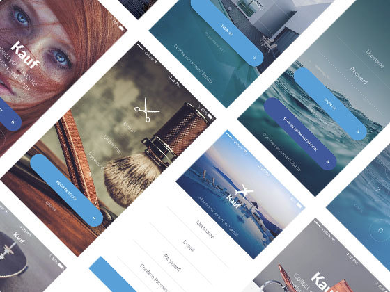 Kauf 登录表单套件