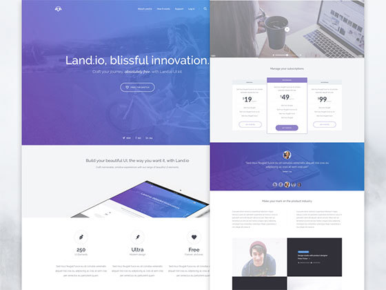 登陆落地页 Landio Landing Page