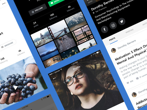 Max 用户资料界面集合