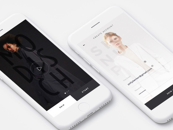 Modisch 引导页和注册表单集合