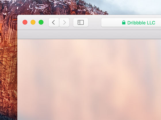 Safari 浏览器 UI