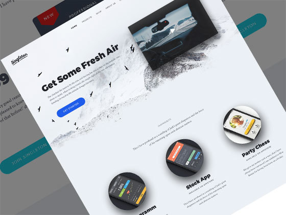 着陆页界面 Singleton