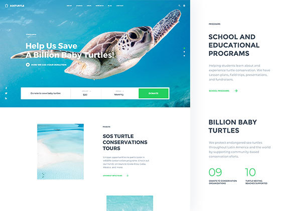 SOSTurtle 公益首页