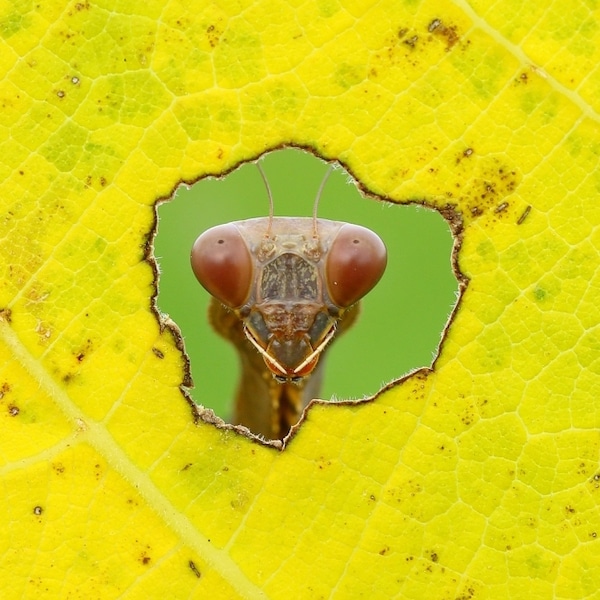 2019年锡耶纳国际获奖摄影作品