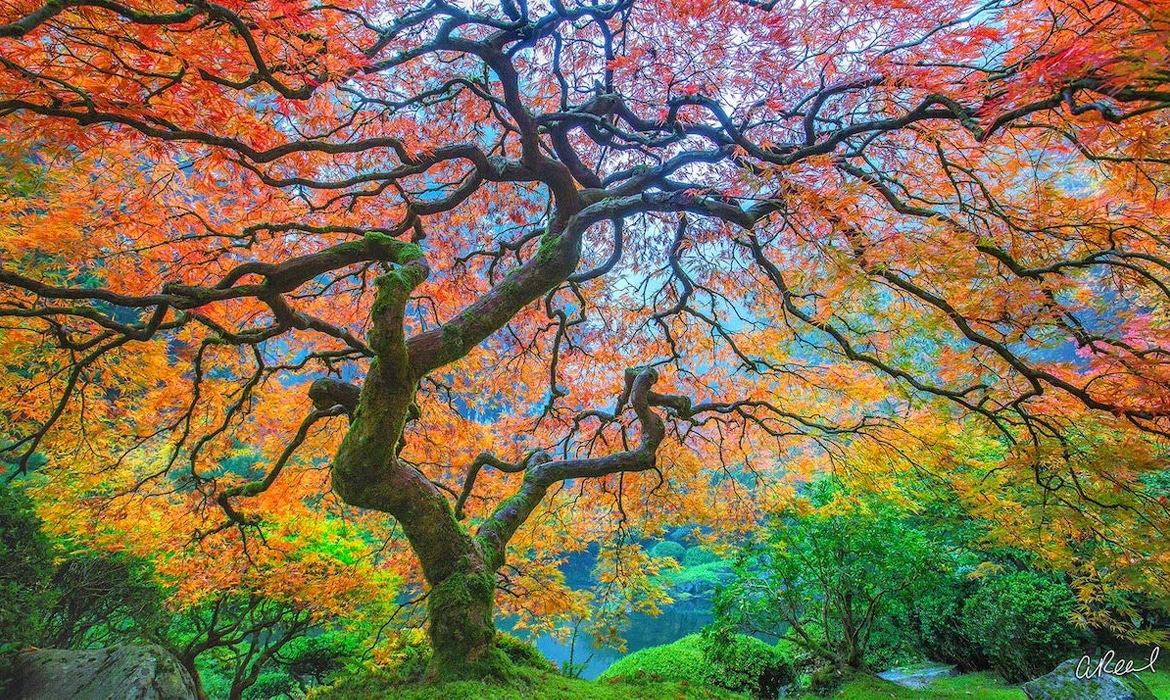 地球视觉盛宴摄影